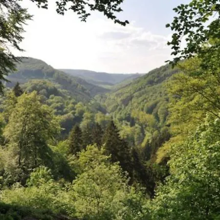 Luxurioese Penthousewohnung Mit Fernblick Und Vielen Wanderwegen Melsbach Exterior foto