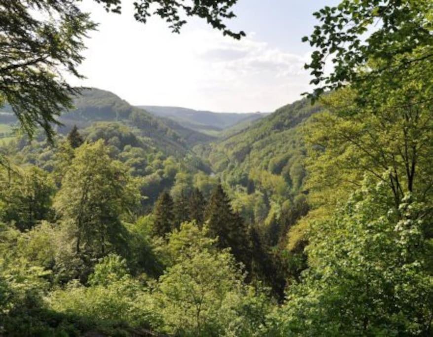 Luxurioese Penthousewohnung Mit Fernblick Und Vielen Wanderwegen Apartment *